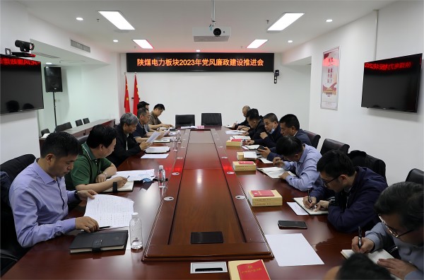 王珊  党风廉政建设工作推进会.JPG